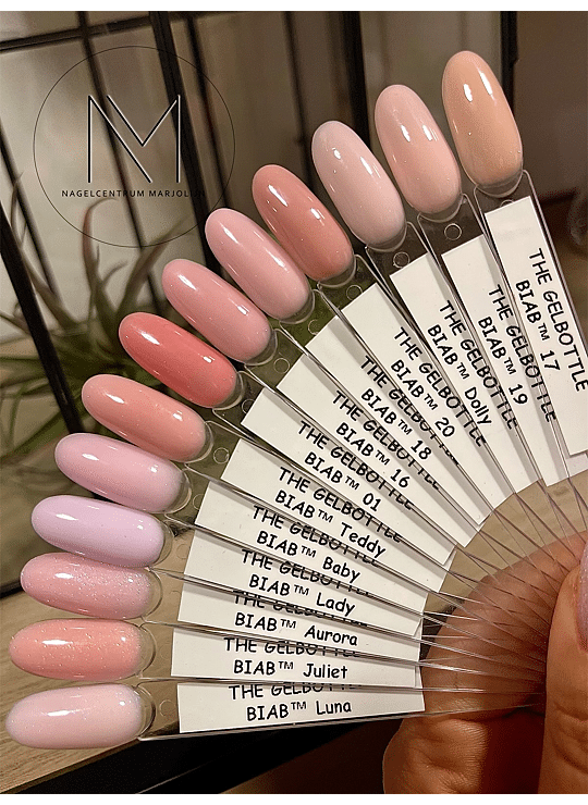 CLASSIC Nude Collection BIAB The Gelbottle